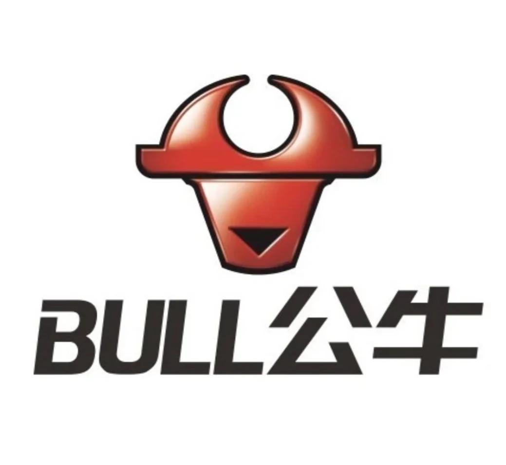 关于公牛状况稳中有变，潜力新秀逐渐崛起的信息